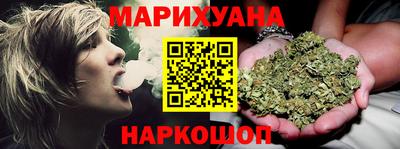 сатива Нальчик