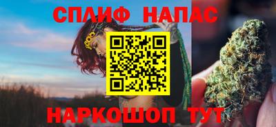 гидра Нарткала