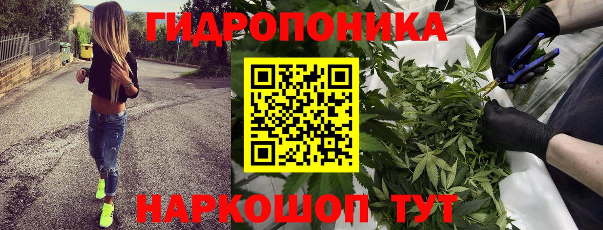 Шишки марихуана SATIVA & INDICA  Вход с VPN  Энгельс  Каннабис марихуана 